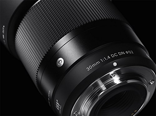 30mm F1.4 DC DN Contemporary 5