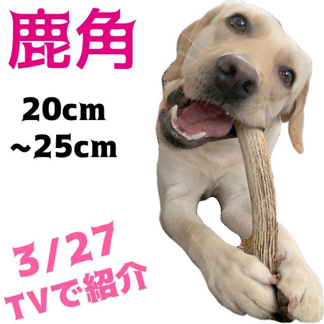 21年 犬用噛むおもちゃのおすすめ人気ランキング14選 Mybest 21年 犬用噛むおもちゃのおすすめ人気ランキング14選 Mybest