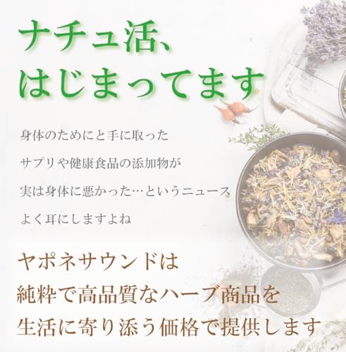 ダンデライオンルート 2