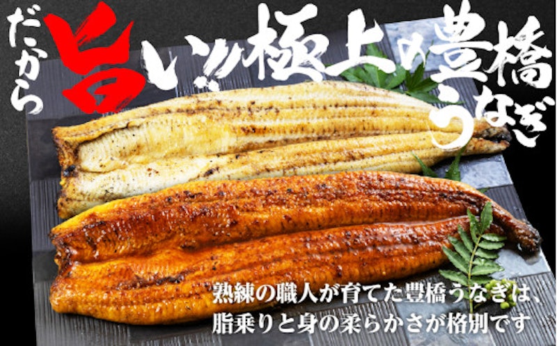 極上 豊橋うなぎ蒲焼 5