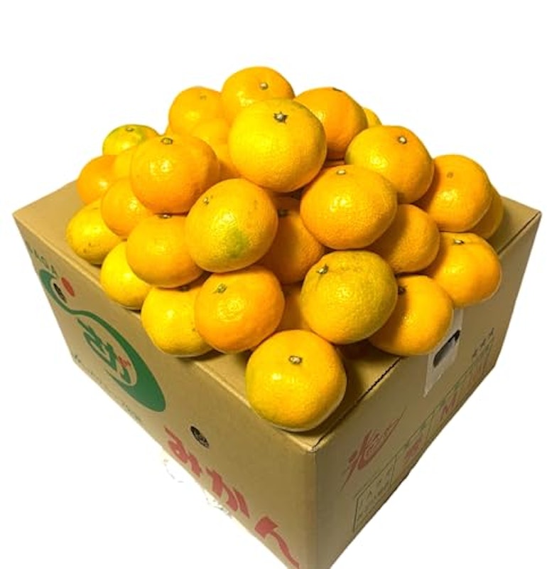 温州みかん 秀品 2
