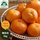 高級みかんのおすすめ人気ランキング【2026年7月】 3