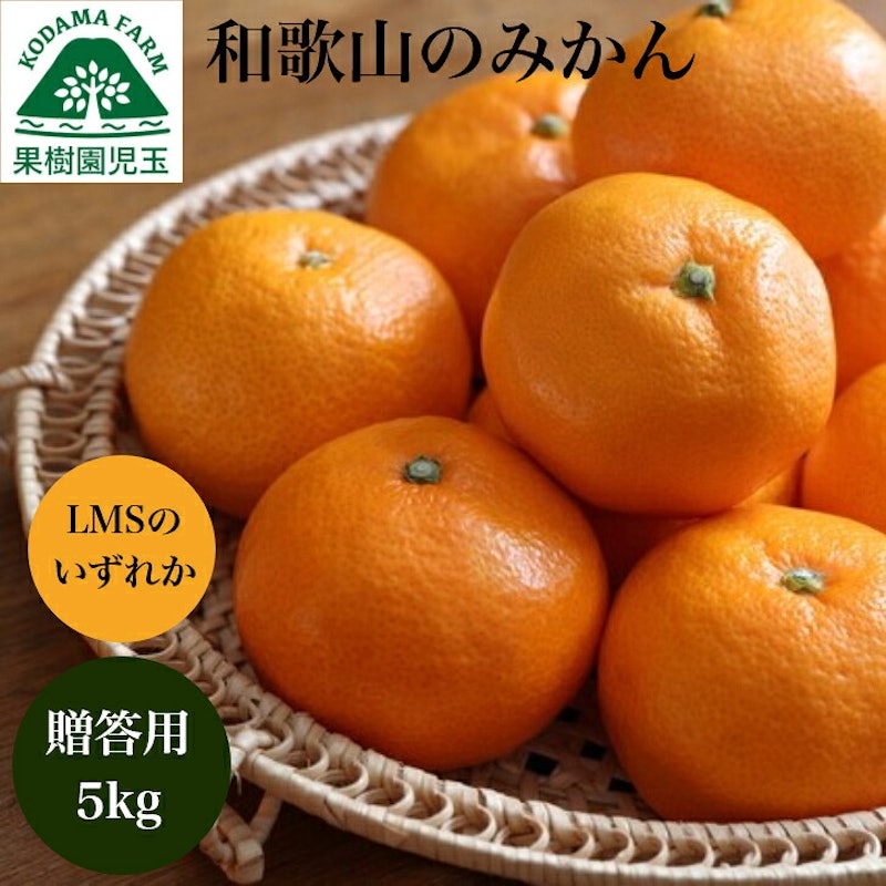 和歌山みかん 1