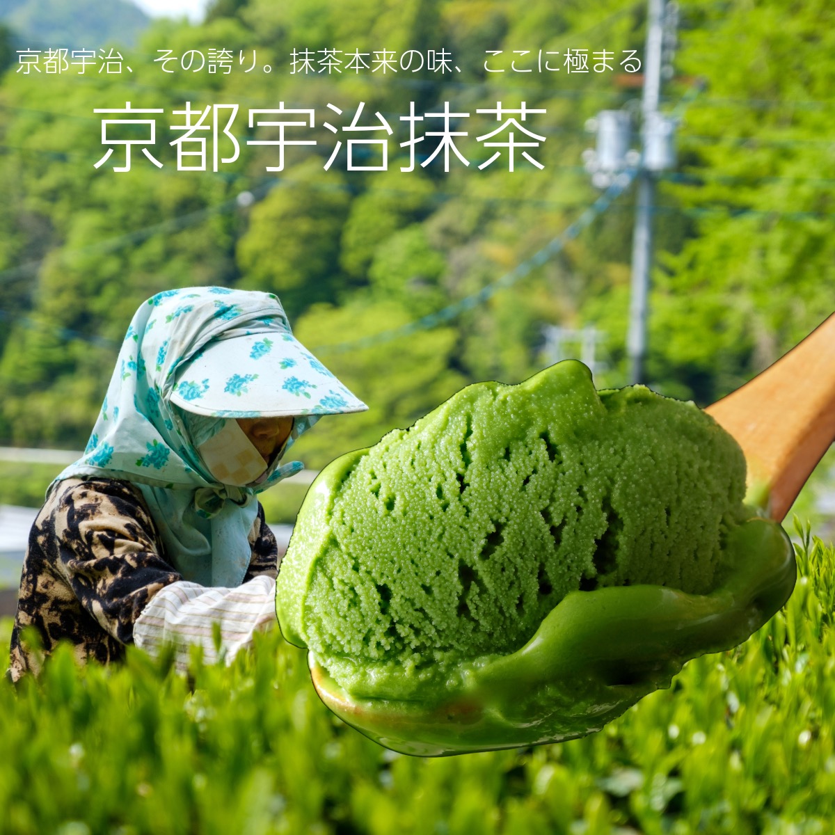 ジェラート詰め合わせ 5