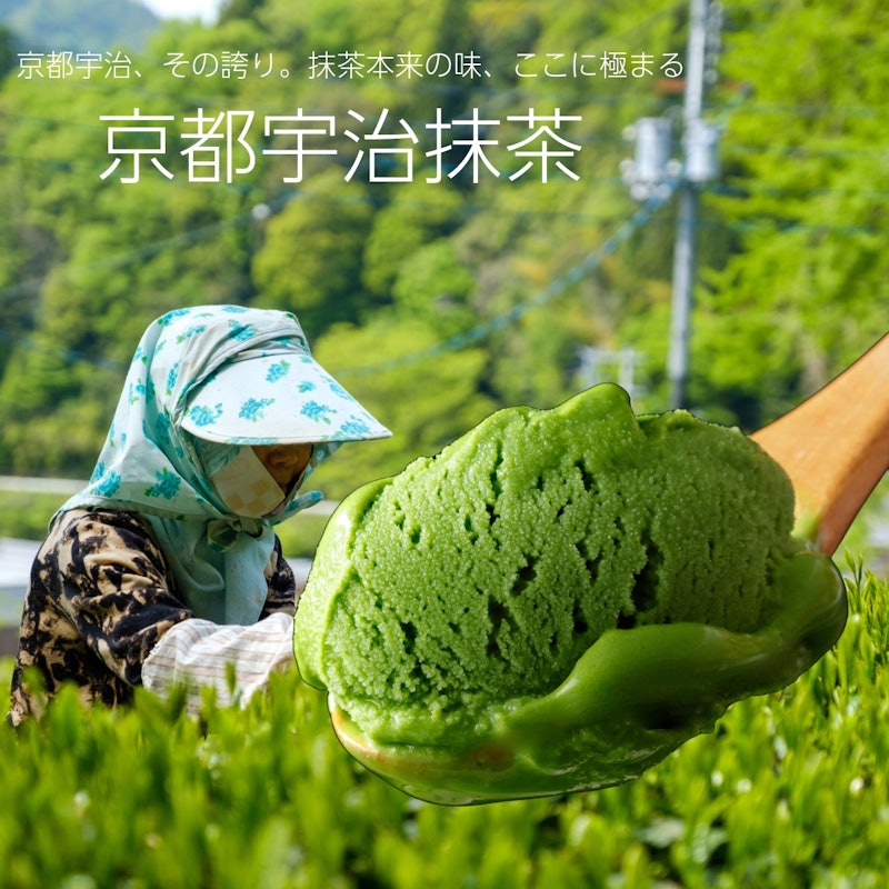 ジェラート詰め合わせ 5