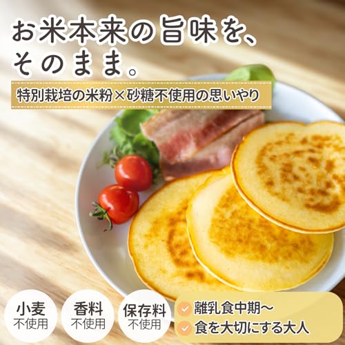 Farm to baby 国産米粉のホットケーキミックス 2