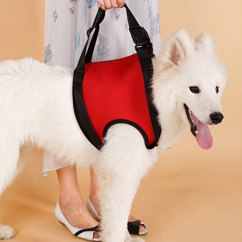21年 犬用介護ハーネスのおすすめ人気ランキング15選 Mybest 21年 犬用介護ハーネスのおすすめ人気ランキング15選 Mybest