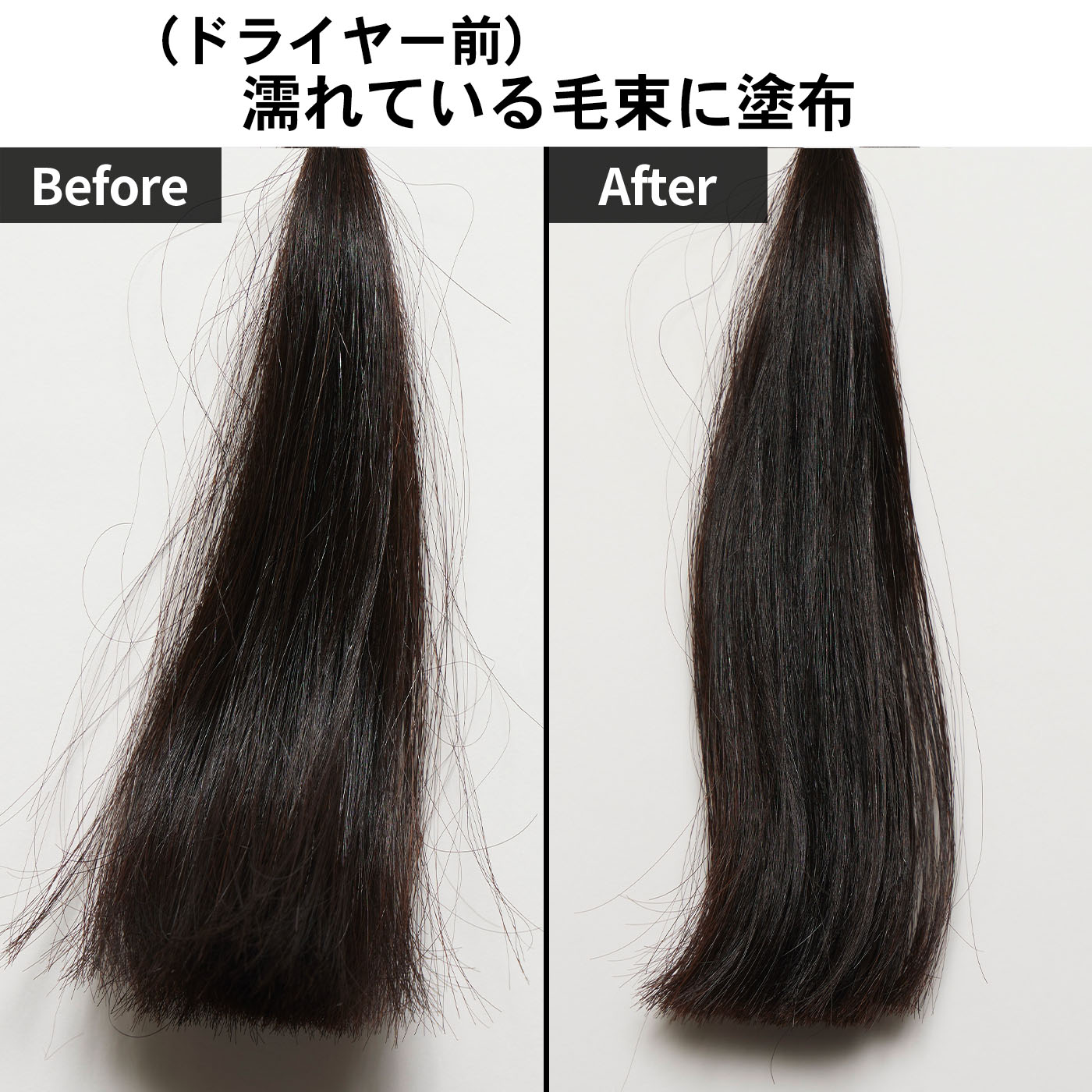 オイ オイル 5