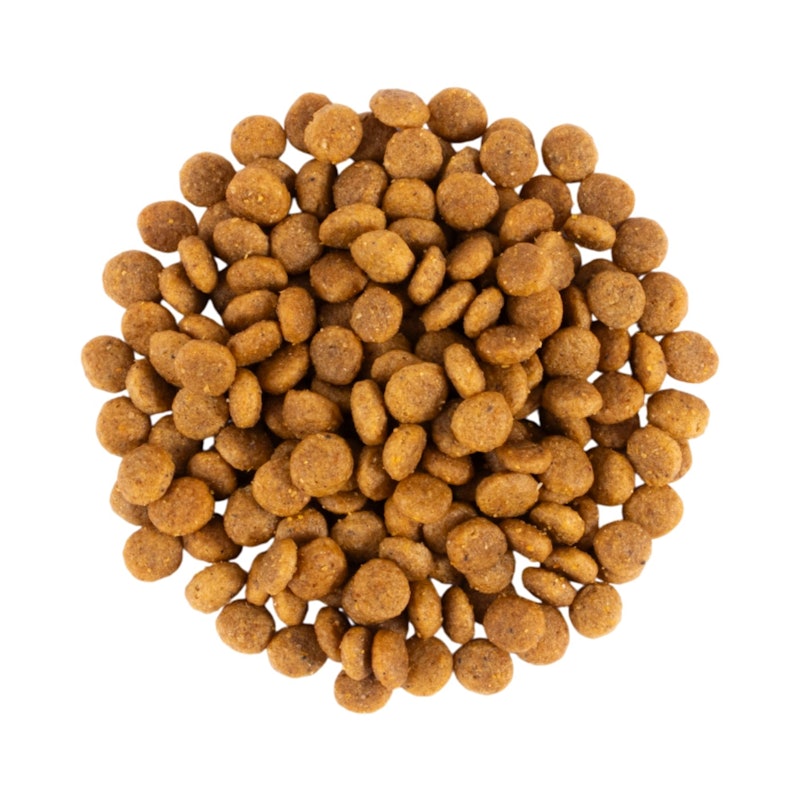 腎臓ケア ドライフード 7