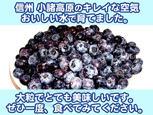 冷凍ブルーベリー 2