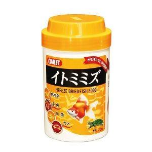 イトミミズ 1