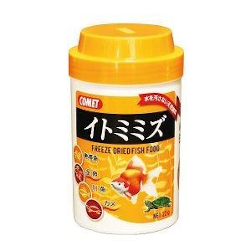 イトミミズ 1
