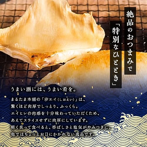 汐エイ 2