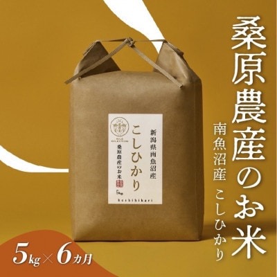 桑原農産のお米  こしひかり 発送月固定定期便 1