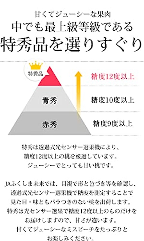 JAふくしま未来 ミスピーチ 4