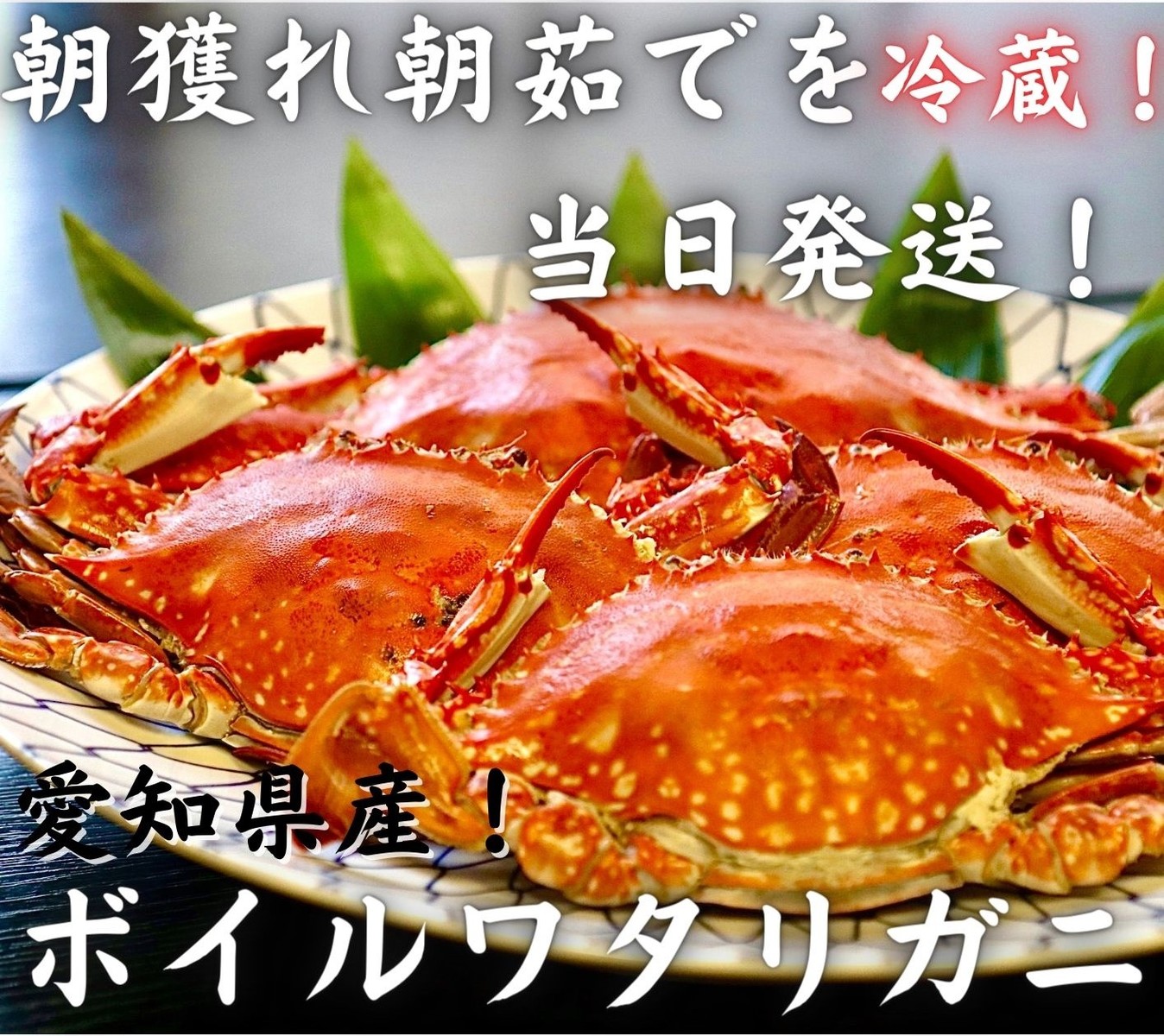ボイルワタリガニ 1