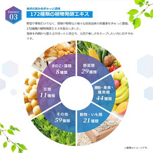カリーナダイエット 6