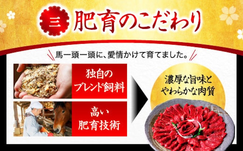 国産 熊本馬刺し 霜降り 中トロ 5