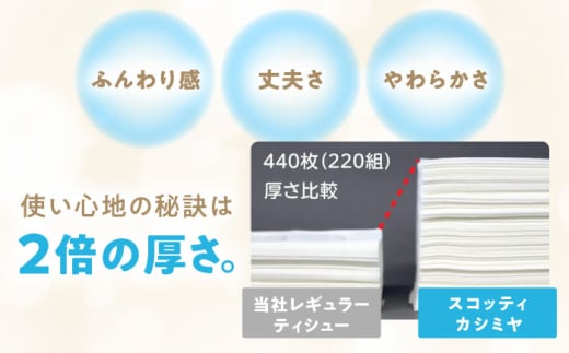 スコッティ カシミヤ 10箱 6