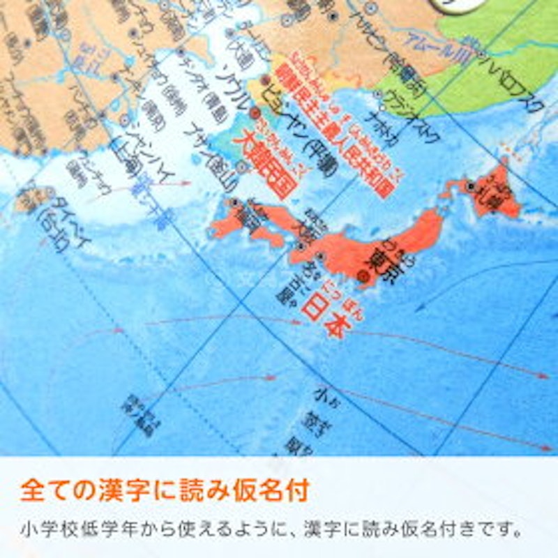 小学生の地球儀 行政タイプ 20cm球 7
