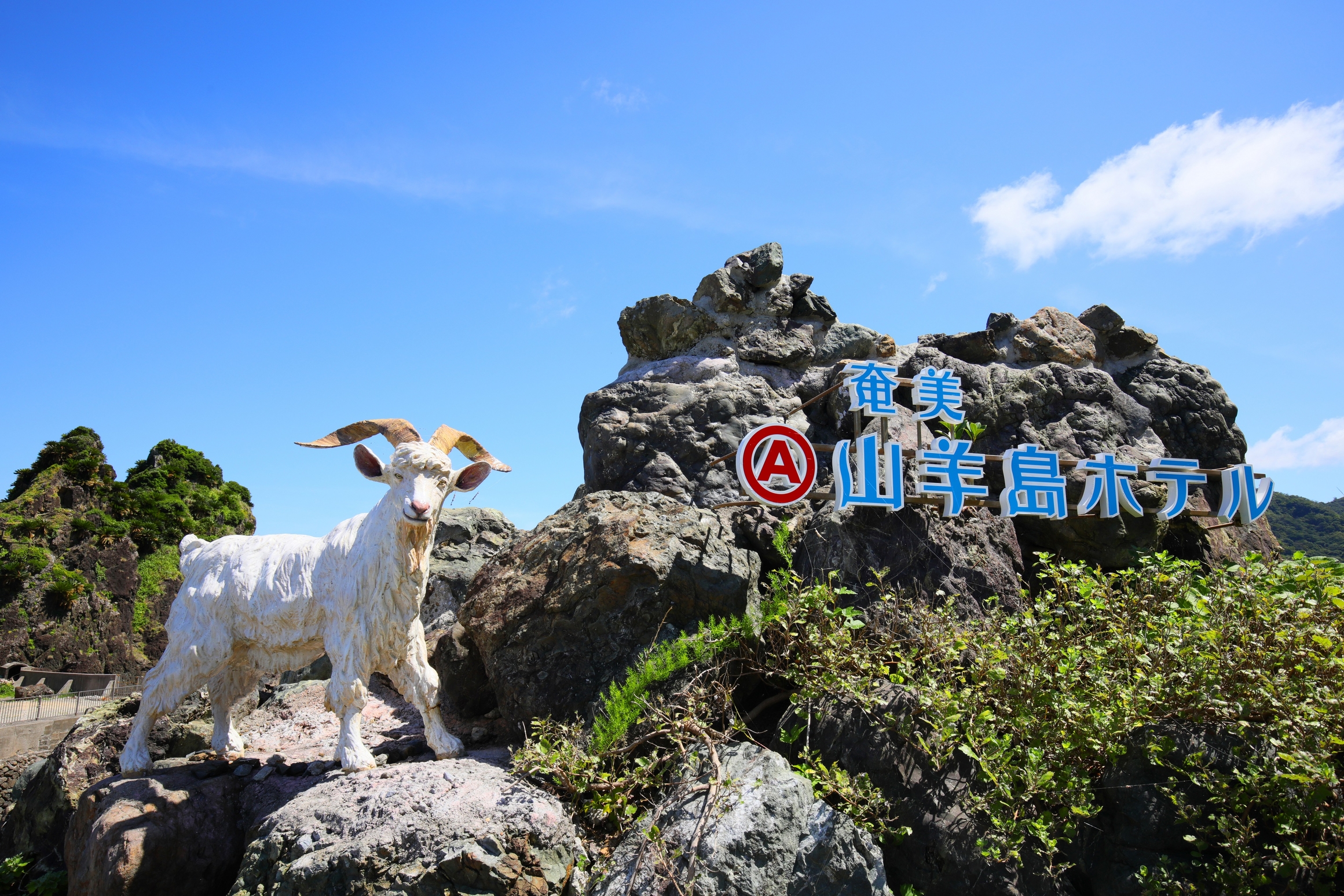 奄美山羊島ホテル 3
