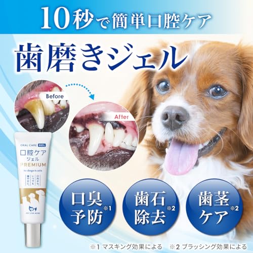 15g×3個 ペット用品 CLEAN WAN 犬用デンタルケアジェル 15g ×2