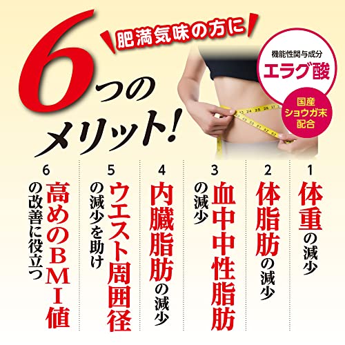 スリムバリアV6 2