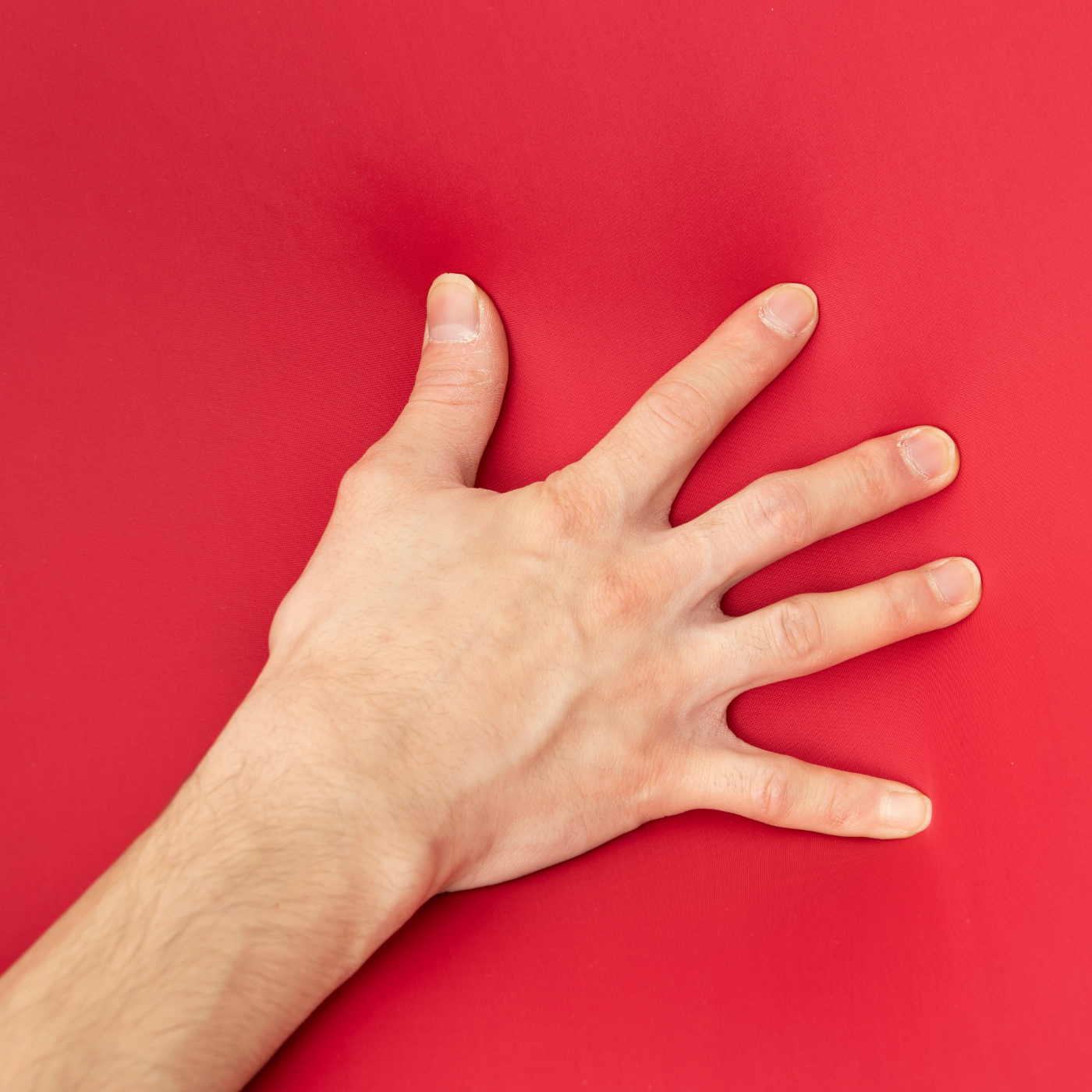 王様もダメになるもちクッションを全18商品と比較 口コミや評判を実際に使ってレビューしました Mybest