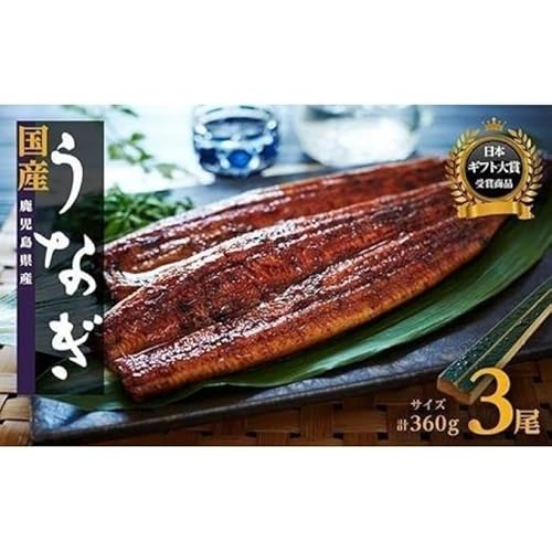 うなぎ長蒲焼 1