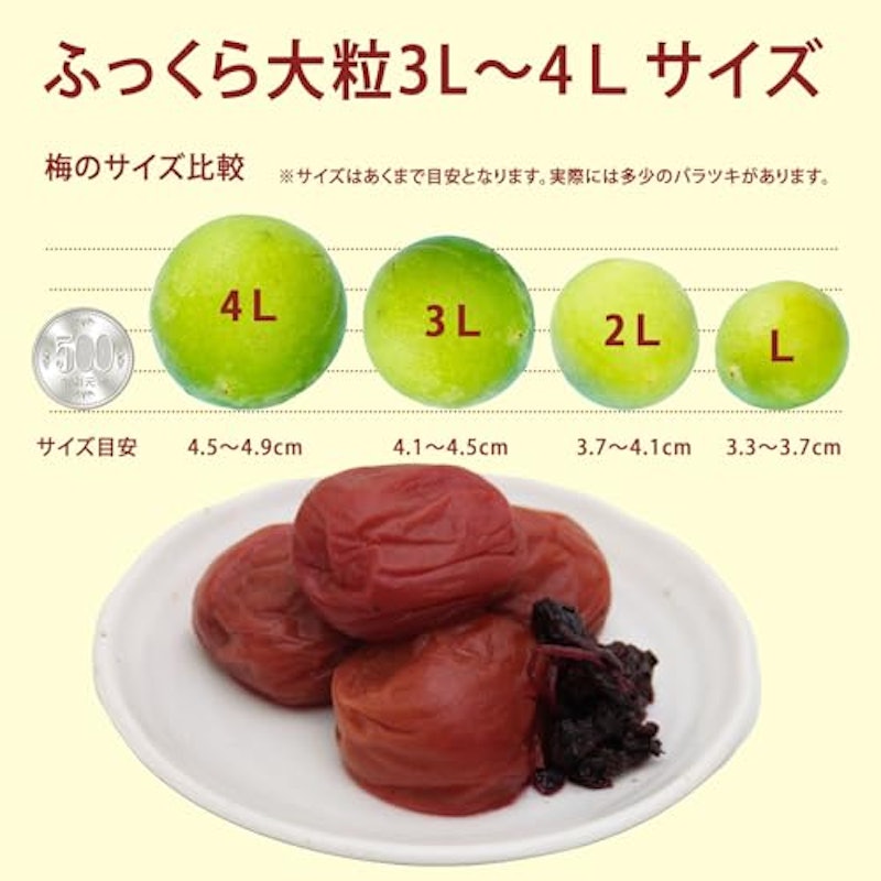 紀州南高梅 しそ梅干し 5