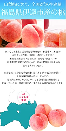 JAふくしま未来 ミスピーチ 6