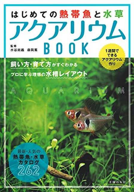 21年 熱帯魚図鑑のおすすめ人気ランキング10選 Mybest 21年 熱帯魚図鑑のおすすめ人気ランキング10選 Mybest