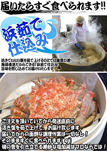 トゲクリ蟹 3