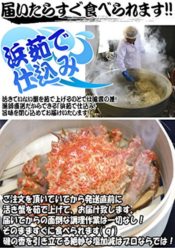 トゲクリ蟹 3