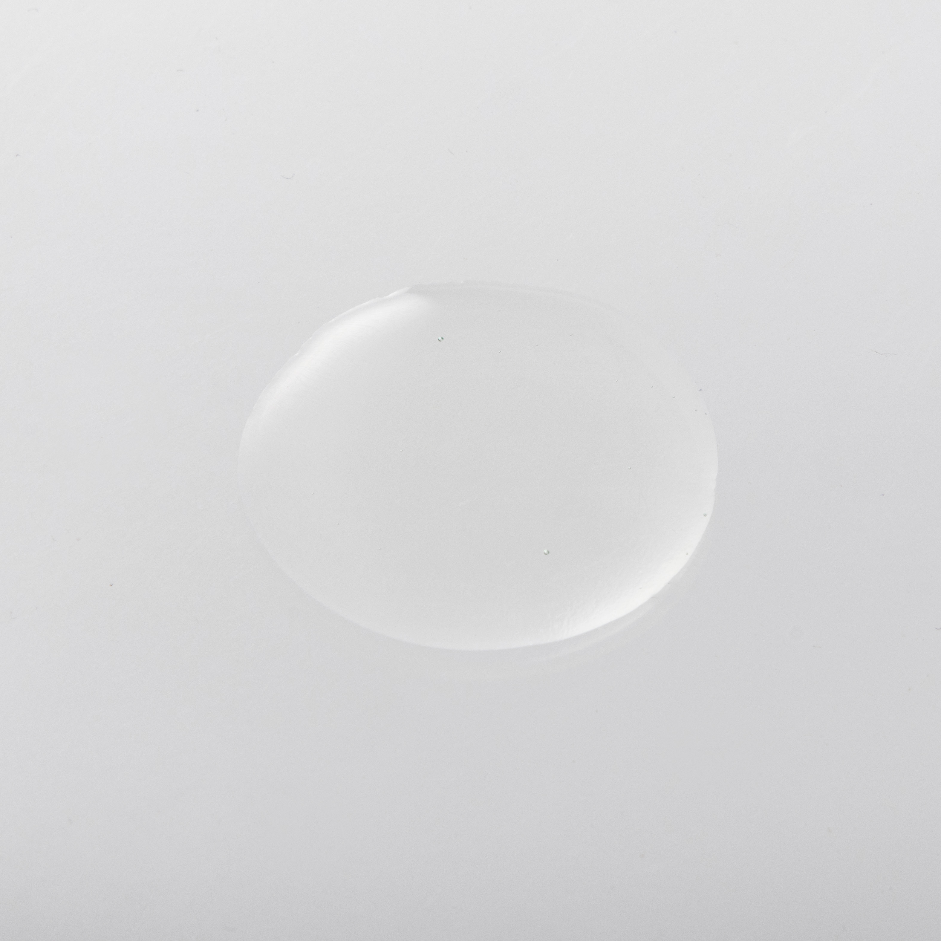 大島椿 3