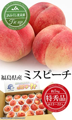JAふくしま未来 ミスピーチ 2