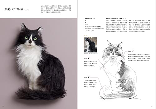 羊毛フェルトから生まれる猫の肖像 「わくねこ」の作り方 12