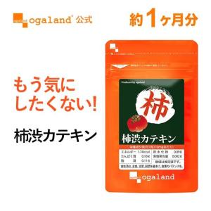 柿渋カテキン 1
