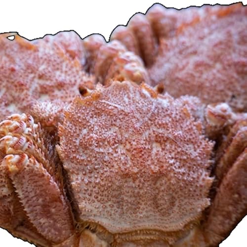 ボイル冷凍毛蟹 1