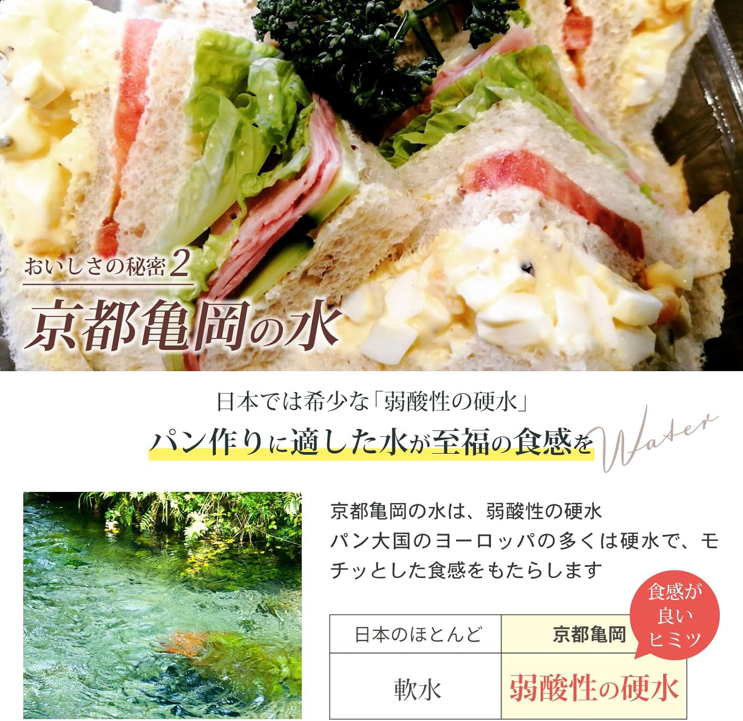 天然酵母玄米山食 5