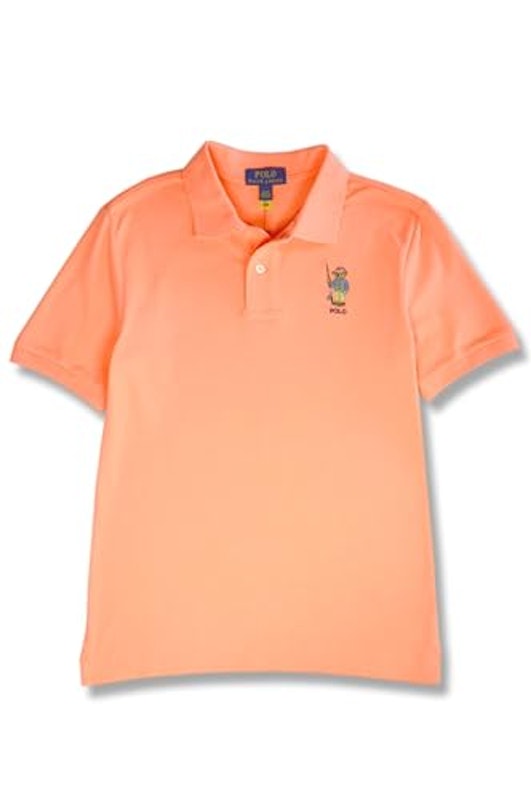 Polo Bear Cotton Mesh Polo Shirt 2