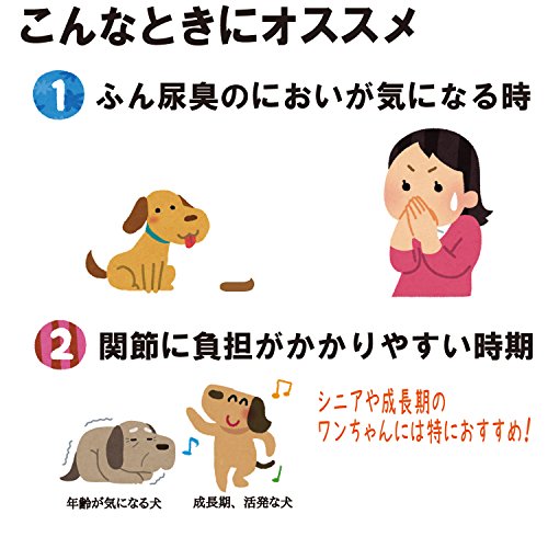 2022年】シニア犬用おやつのおすすめ人気ランキング37選 | mybest