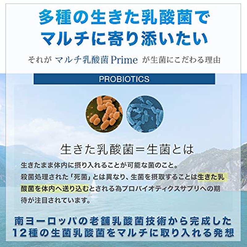 マルチ乳酸菌Prime 6
