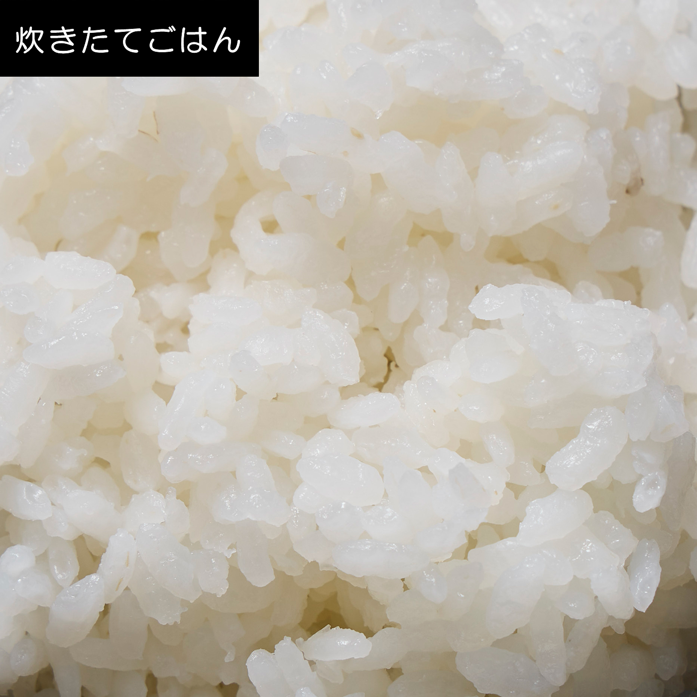 真空IHジャー炊飯器 炎匠炊き 9