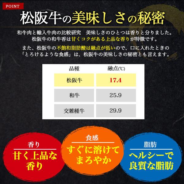 松阪牛 花盛り希少部位セット「雅」 7
