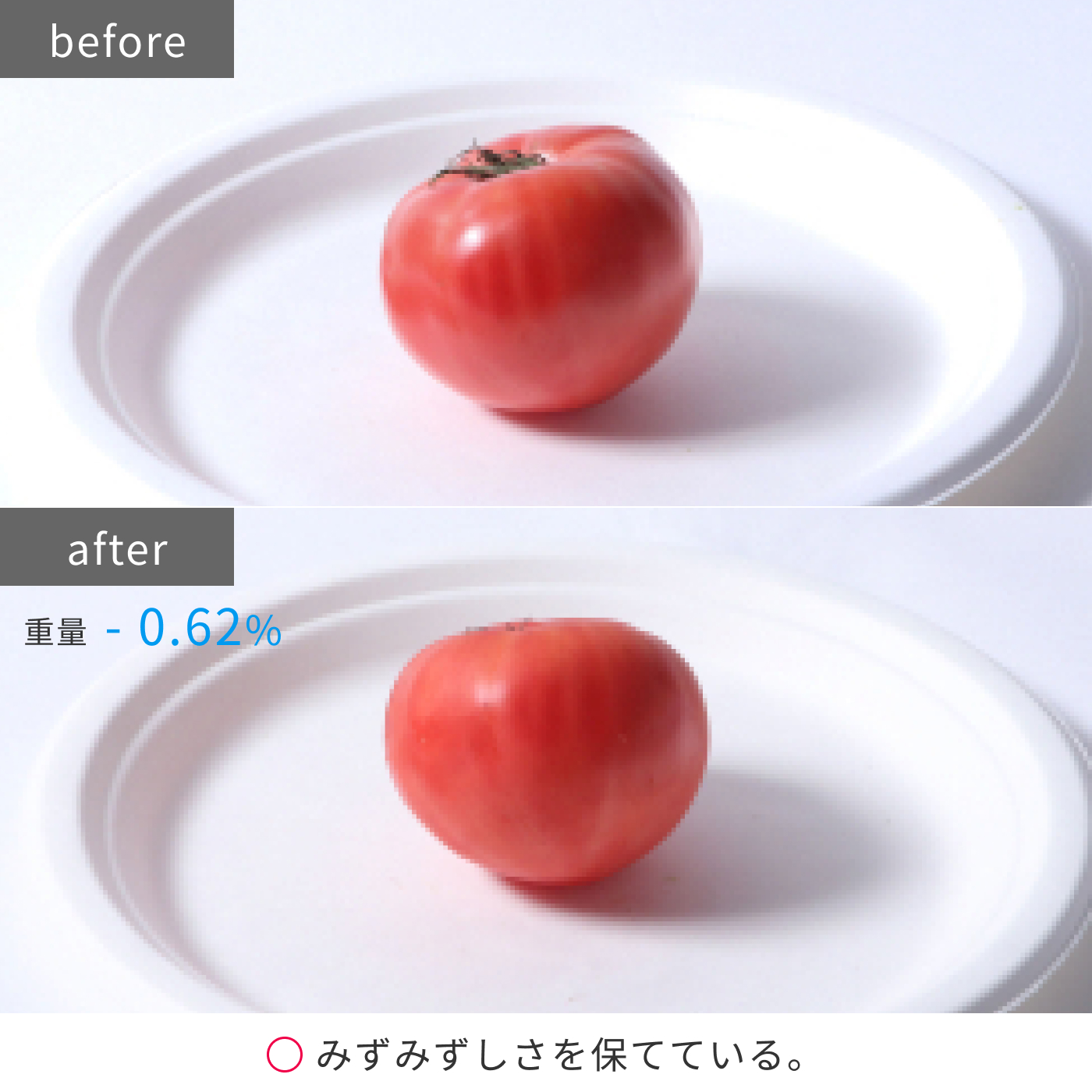 冷凍冷蔵庫 20