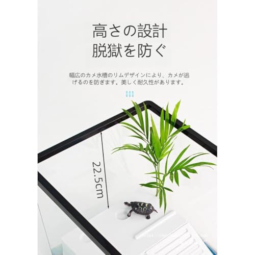 カメ用水槽 2