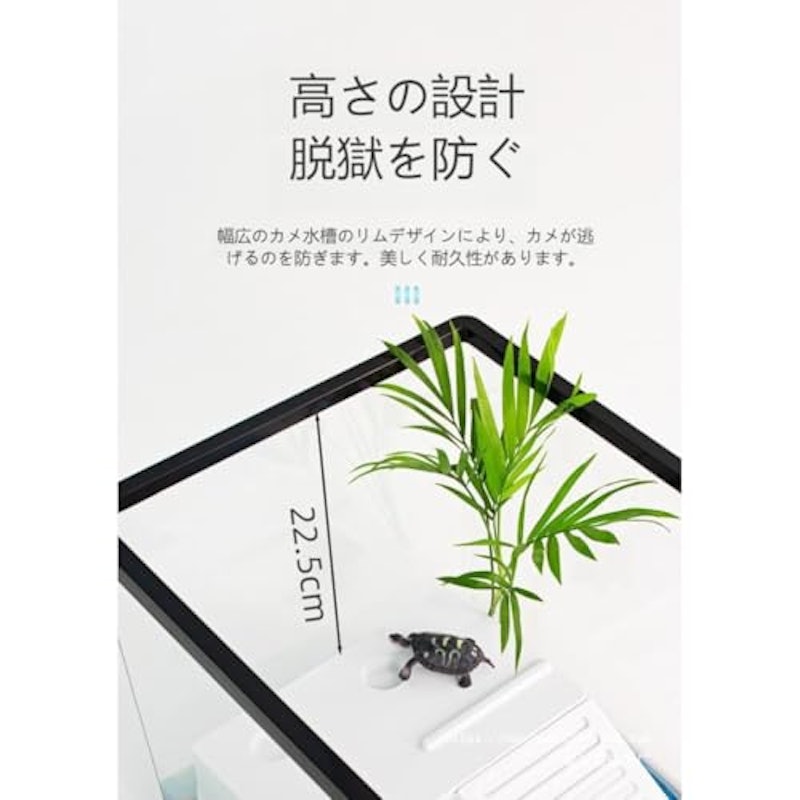 カメ用水槽 2