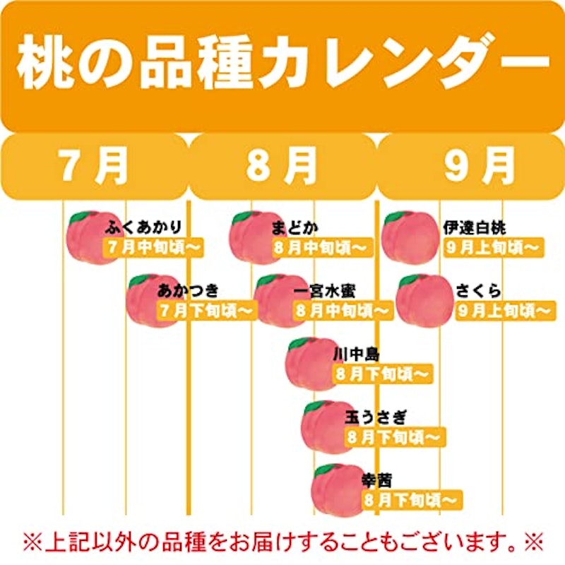 福島県桑折町の桃 ロイヤルピーチ 4