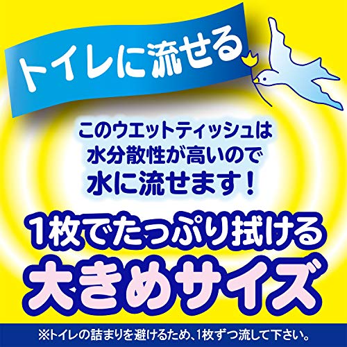 おむつとりかえぬれタオル流せるタイプ 2